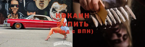 индика Кукмор
