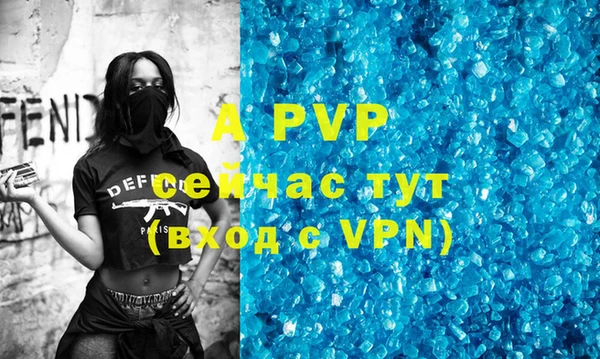 стаф Липки