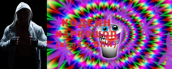 индика Кукмор