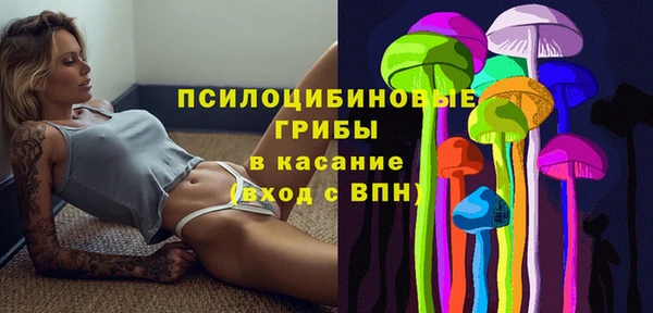 индика Кукмор
