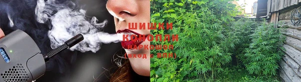 стаф Липки