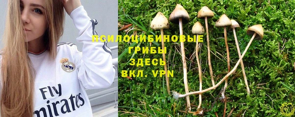 2c-b Куйбышев
