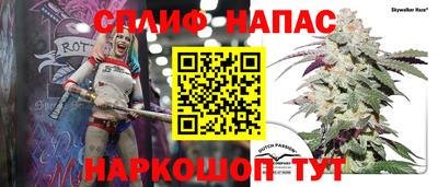 индика Кулебаки