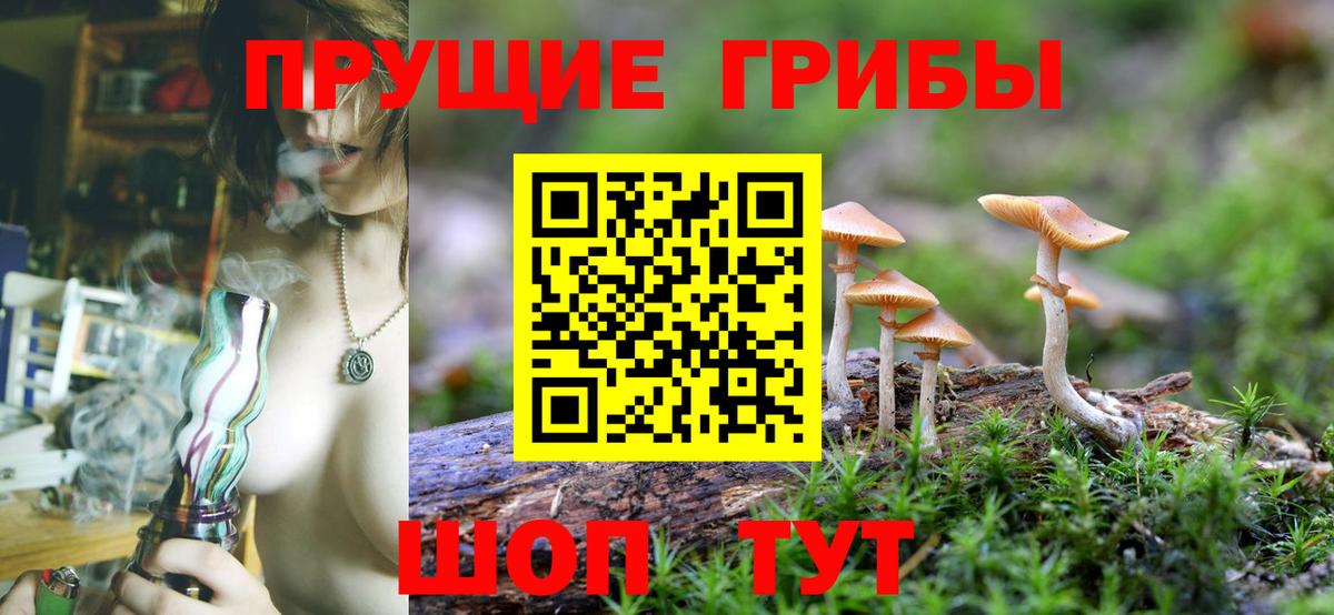 Псилоцибиновые грибы мухоморы Мелеуз
