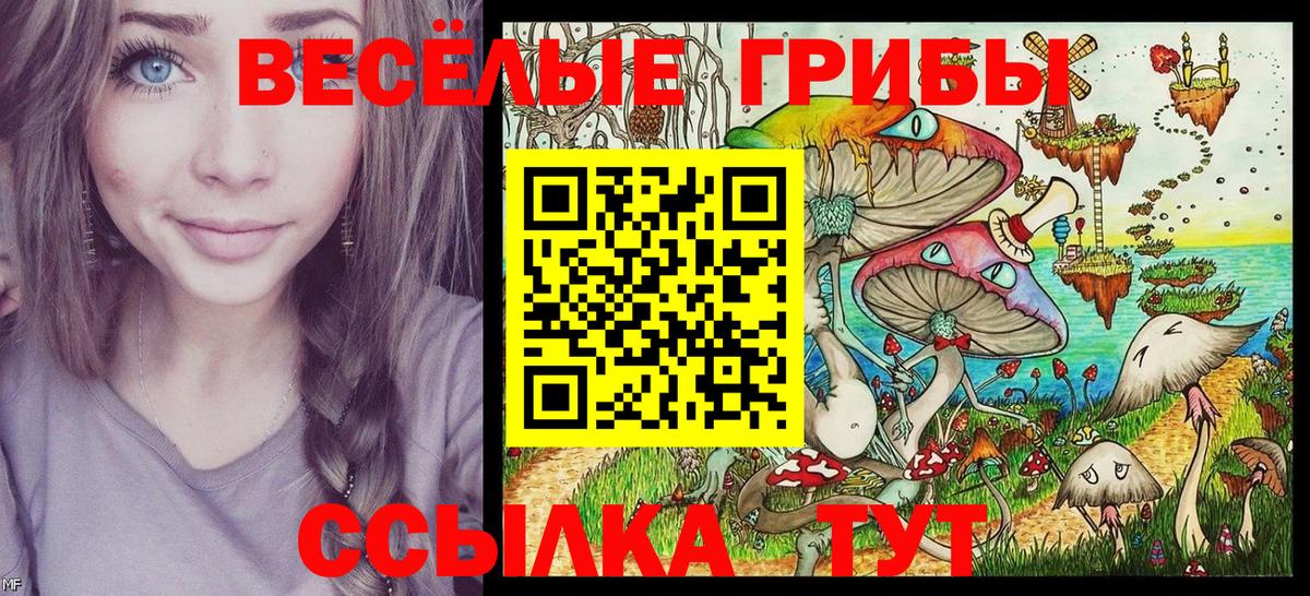 Псилоцибиновые грибы прущие грибы  Псилоцибиновые грибы ЛСД  Мелеуз 